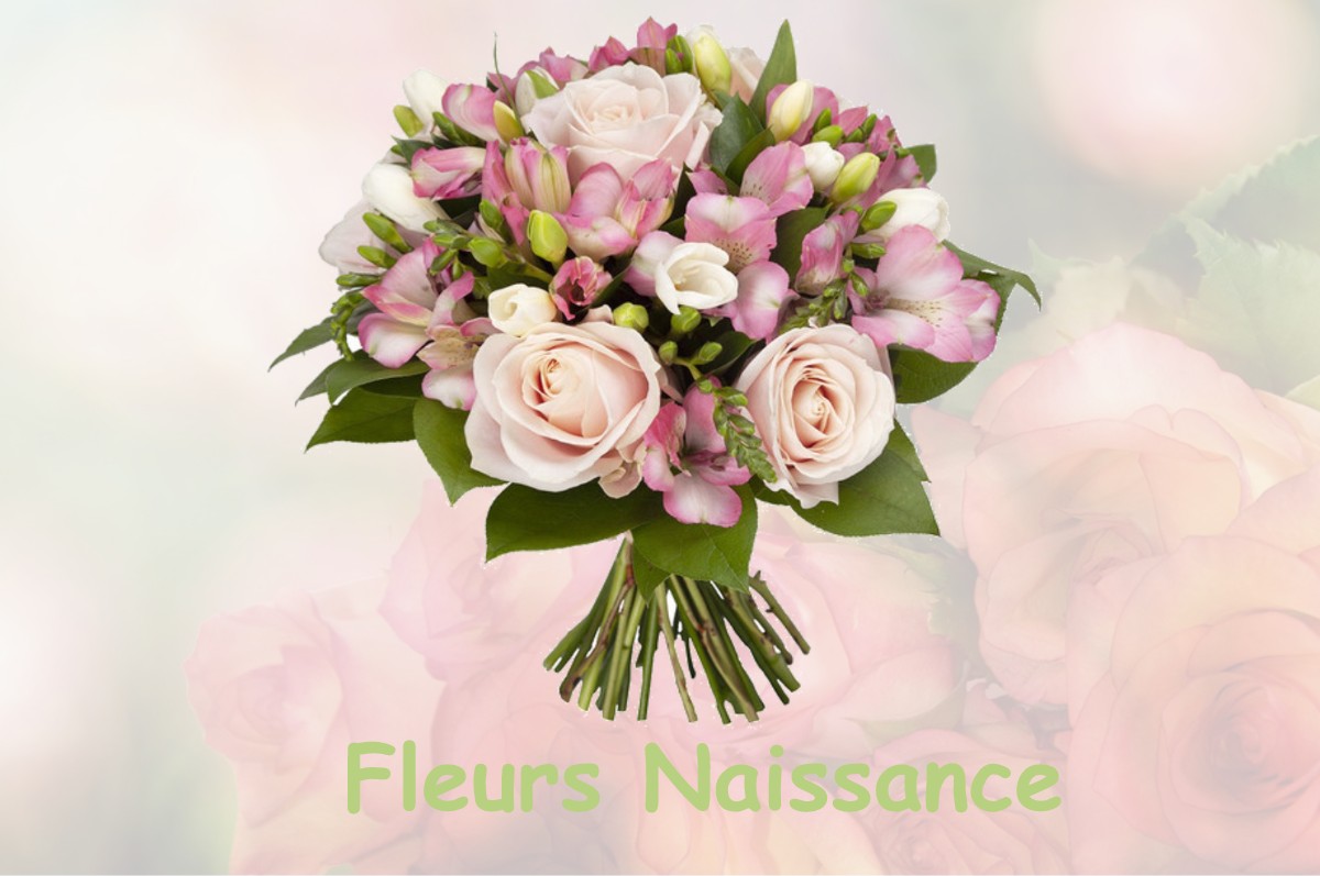 fleurs naissance AUGISEY